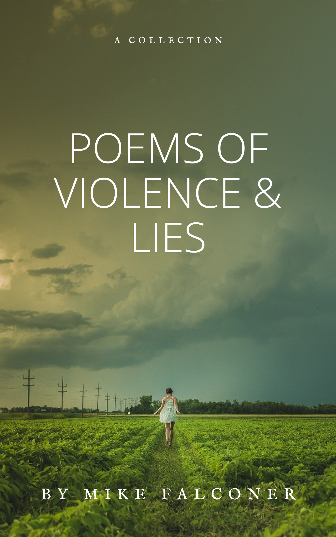 Poems of Violence & Lies - Paperback
